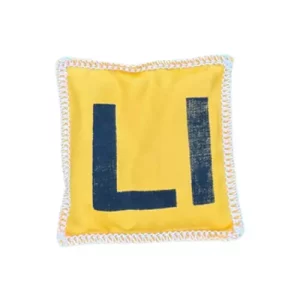The LSW Beanbag