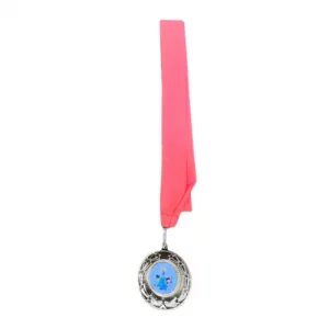 LSW Medal - Orange