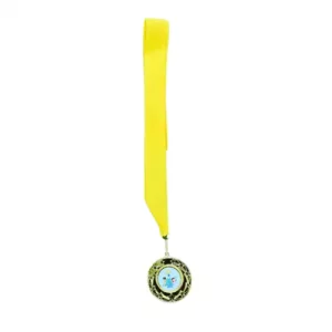LSW Medal - Yellow